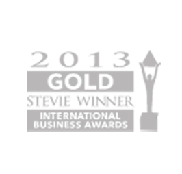 International Business Awards - 2013